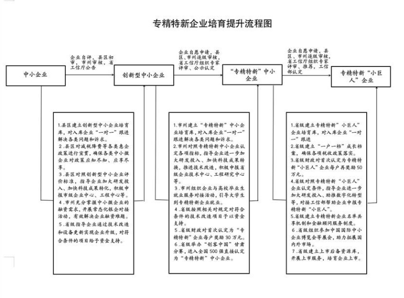 專(zhuān)精特新企業(yè)培育提升流程圖 (2).jpg